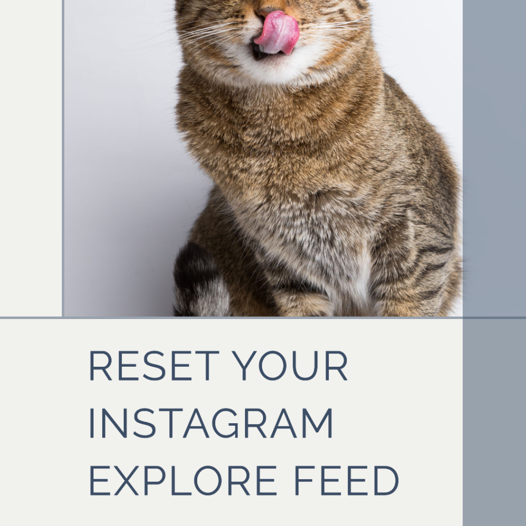 Effectively reset your Instagram Explore feed